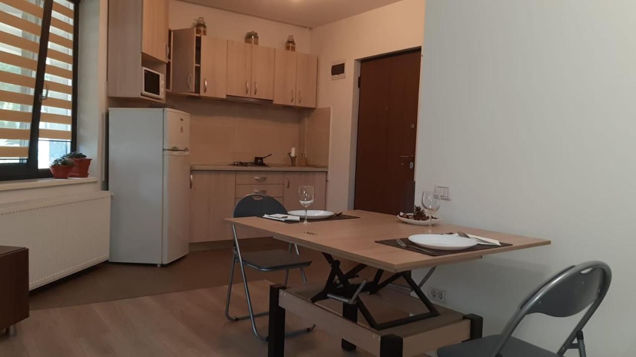 布加勒斯特Casa Sara公寓 外观 照片
